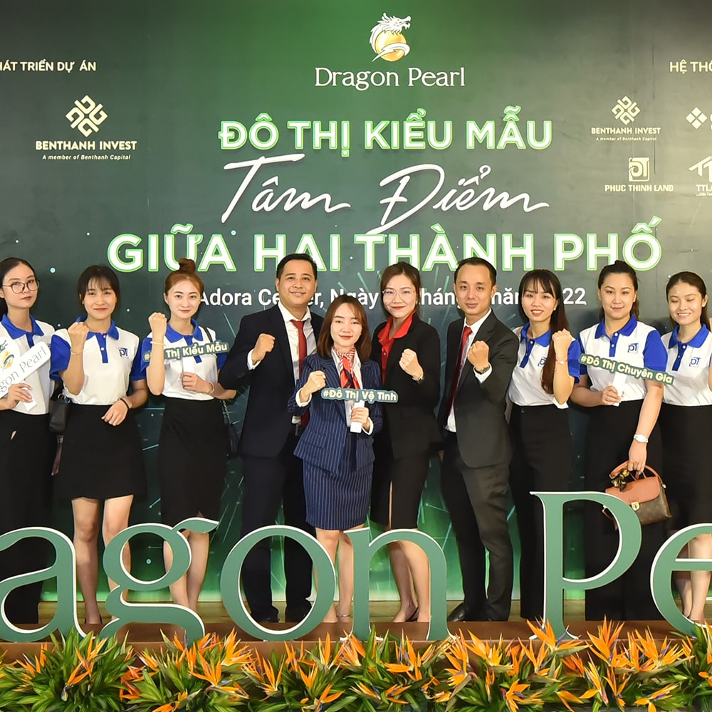 lĩnh vực hoạt động
